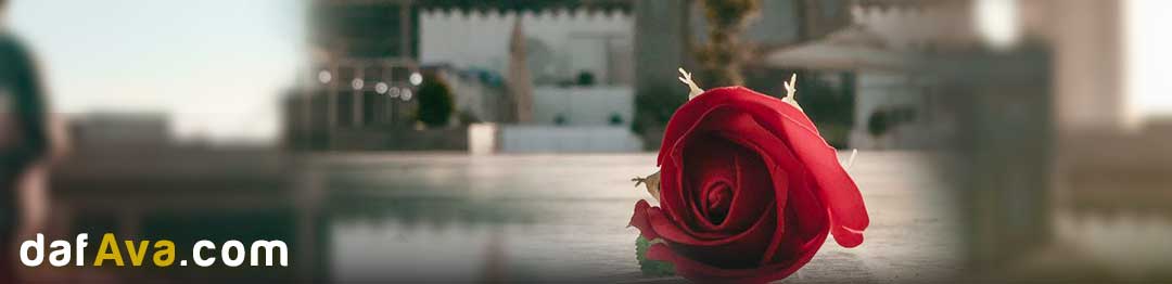 اعمال روز ۸ ربیع الاول
